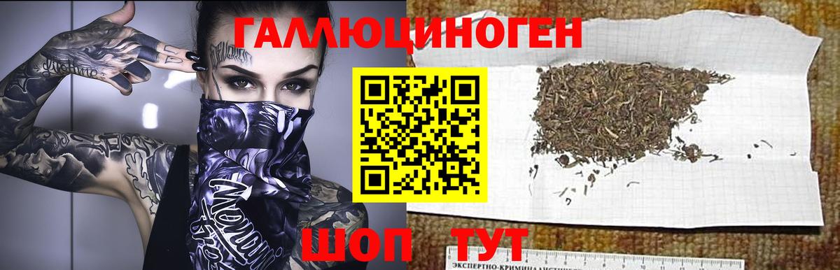 Иваново  Псилоцибиновые грибы GOLDEN TEACHER  купить наркоту  Вход с VPN 